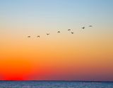 IMG_8379.jpg