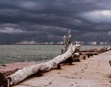 Log on jetty
