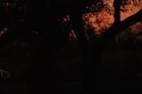 DSC_5343.JPG