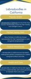 Blue and Gold Modern Geometric Tips for a Successful Interview Process Infographic - Blue and Gold Modern Geometric Tips for a S