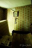 _A666339_DxO.jpg