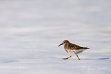 _A7Q2272_DxO.jpg