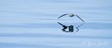 _A7Q3106_DxO_1.jpg