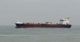 Fionia Swan