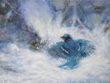 Bain de neige 18 x 24 po. - 46 x 61 cm