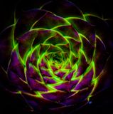 Center Stage Light Show