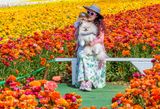 The Flower Fields:  BFF at the Fields