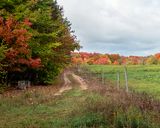 Autumn Arrival