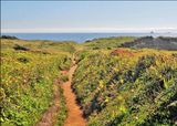 trail_to_lands_end_01_9783.jpg