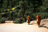 Monks on the Path, Dharamshala, India