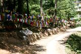 Finding Shade, Dharamshala, India