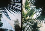 Botanical Gardens, Sheffield, 2018