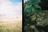Whitby, 2018