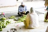 Community Cooking in the Gurdwara, Jodphur, India