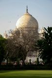 Dome Behind Trees, Taj Mahal, Jodhpur, India