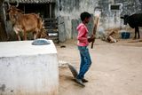 Standing by the Wicket, Cricket near Nimaj, India