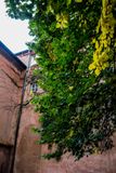 More Green and Red of Prague, Czechia