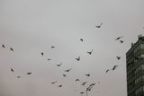 Nottingham, UK