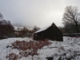 Borrowdale, The Lake District, UK