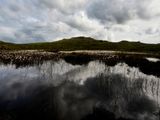 Blea Rigg, The Lake District, UK