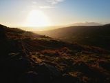 Sallows, The Lake District, UK