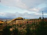 Latterbarrow, The Lake District, UK