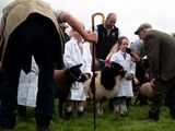 Keswick Show, The Lake District, UK