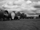 Appleby Horse Fair, Appleby-in-Westmorland, UK