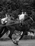 Appleby Horse Fair, Appleby-in-Westmorland, UK
