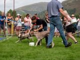 Grasmere Sports Day, Grasmere, The Lake District, UK