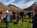 Wasdale Show, Wasdale Head, The Lake District, UK