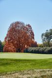 DSC05355.jpg