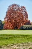 DSC05356.jpg