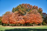 DSC05367.jpg