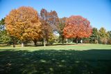 DSC05372.jpg