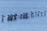 ASI05829_DxO.jpg