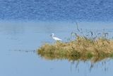 ASI05846_DxO.jpg