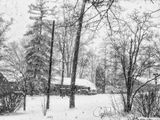 Snowy Weather