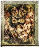 Latest PhotoArt 