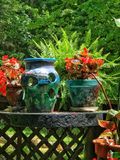 Painting Flower Pots