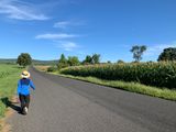 B2020_somers_walk.JPG