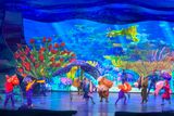 IMG_6832_rs.jpg