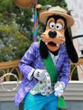 IMG_8118.JPG