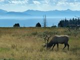IMG_0216.JPG