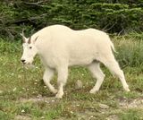 IMG_1097.jpg