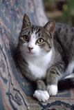 DSCF0024.jpg