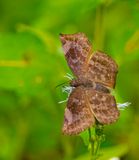 DSC_6449-2.jpg