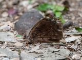 DSC_6484-Edit.jpg