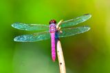 _DSC5327-Edit.jpg