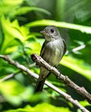 DSC_2518-2.jpg